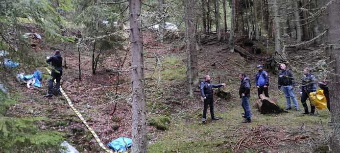 Dosar penal în cazul câinilor găsiţi morţi într-o pădure de lângă Uricani, judeţul Hunedoara. Erau 8 câini adulţi şi 19 pui
