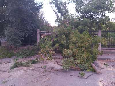 Furtuni puternice în Brăila şi Galaţi - Autorităţile intervin pentru îndepărtarea efectelor / Zeci de apeluri la 112 pentru a reclama copaci căzuţi pe maşini, pe carosabil sau pe cabluri - FOTO