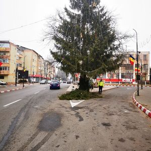 Trafic îngreunat în oraşul Panciu, din cauza bradului de Crăciun amplasat într-o intersecţie/ Firma, sancţionată de poliţişti şi chemată să toaleteze pomul - FOTO