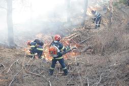 UPDATE - Incendiu puternic în judeţul Buzău - Flăcările au cuprins 500 de hectare de vegetaţie uscată si 50 de hectare de pădure de pin / A fost solicitat sprijin aerian / Flăcările au ajuns şi la un parc de antene şi relee  - FOTO, VIDEO