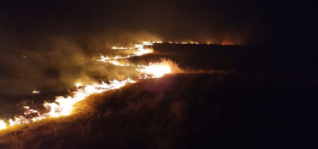 Buzău: Două incendii puternice de vegetaţie, la Merei şi Pietroasele - FOTO, VIDEO