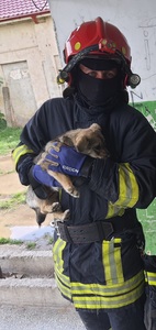 Pui de câine, salvat de pompieri din subsolul unui bloc din Bârlad / Animalul risca să se înece în ape reziduale  