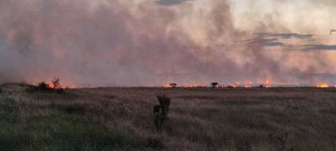 Incendiu de mirişte între Năvodari şi Lumina. Suprafaţa afectată este de 5.000 de metri pătraţi