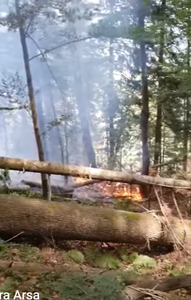 Un incendiu de vegetaţie a izbucnit în zona Piatra Arsă, între Sinaia şi Buşteni - VIDEO