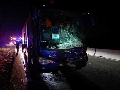 Prahova: Un autocar cu 48 de pasageri, 43 fiind copii, a lovit un taur, pe DN 1 / Animalul, proiectat în altă maşină / Traficul este blocat 