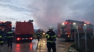 UPDATE - Incendiu la o crescătorie de găini din judeţul Satu Mare - FOTO
