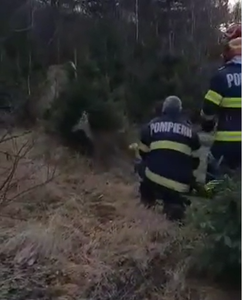 IGSU: Pompierii Detaşamentului Petroşani au salvat un pui de căprioară care a căzut într-un pârâu: Bambi sau un alt fel de ”Singur acasă” - VIDEO