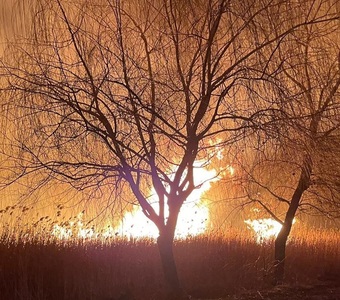 Puternic incendiu de stuf, în afara oraşului Murgeni / Focul a cuprins peste 30 de hectare