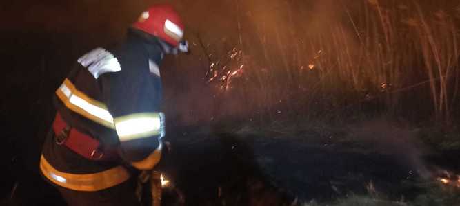 Tulcea: Incendiu de vegetaţie uscată între localităţile Sarinasuf şi Plopu / Au ars 15 hectare / Focul a fost pus intenţionat