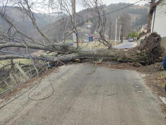 FOTO: ISU Hunedoara