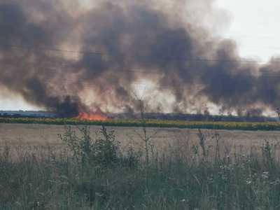 Incendiu violent, cu degajări mari de fum, la un lan de grâu, lângă Ploieşti. Traficul pe drumul naţional a fost grav afectat. Cauza probabilă a izbucnirii focului, un fulger - FOTO

