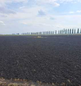 Neamţ: Lan de grâu distrus pe o suprafaţă de opt hectare din cauza unui incendiu
