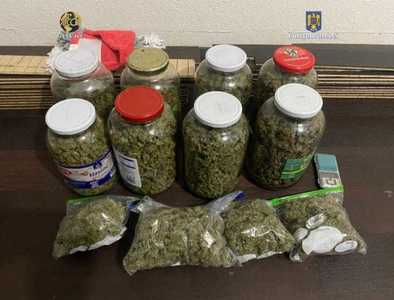 Percheziţii ale poliţiştilor şi procurorilor, în Timiş, într-un dosar de trafic de droguri de risc/ A fost găsită o cultură de cannabis şi peste 50 de kilograme de masă vegetală