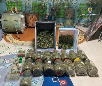 Cultură de cannabis, descoperită la domiciliul unui bărbat din Arad / Acesta avea intenţia de a comercializa drogurile / 6 kilograme de masă vegetală, recoltată