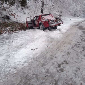 Prefectura Maramureş: Un copac a căzut pe un autoturism aflat în trafic, pe DJ183 / Nu s-au înregistrat victime