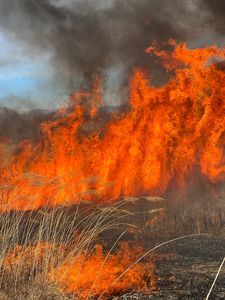 Incendii de vegetaţie în mai multe judeţe - La Oteşani, în Vâlcea, focul s-a extins pe 210 hectare / În judeţul Cluj flăcările au afectat conducte de termoficare / Recomandările pompierilor - FOTO