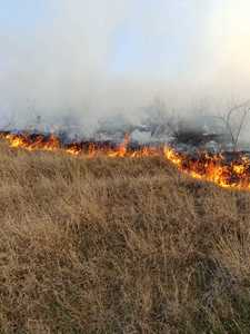 Vaslui: Acţiune de şapte ore a pompierilor, pădurarilor şi voluntarilor pentru stingerea unui incendiu izbucnit pe o plantaţie silvică - FOTO / VIDEO
