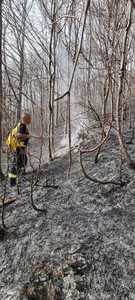 UPDATE - Intervenţie dificilă pentru stingerea unui incendiu izbucnit într-o pădure din nordul judeţului Prahova. Pompierii, nevoiţi să se deplaseze un kilometru pe jos / Incendiul, extins pe o suprafaţă e aproximativ şase hectare - FOTO