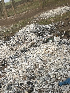 UPDATE - Buzău: Percheziţii într-un dosar referitor la ilegalităţi în domeniul deşeurilor / Cantităţi mari de gunoaie ar fi fost incendiate / Primarul comunei Cochirleanca şi angajaţi de la firme din subordinea primăriei, duşi la audieri