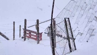 Peisaj de iarnă, aproape de jumătatea lunii mai, pe platoul Bucegi. Turiştii care au urcat în acest weekend pe munte au experimentat vreme specifică mai multor anotimpuri, în doar câteva ore
