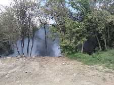 Botoşani: 50 de tone de deşeuri plastice, menajere şi vegetale au ars într-un incendiu / Focul a ameninţat pădurea din apropiere


