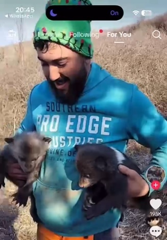 Mureş: Un bărbat a prins doi pui de urs cu care s-a filmat: Uite aicea, oameni buni, pui de urs!/ El e cercetat pentru braconaj cinegetic – FOTO, VIDEO