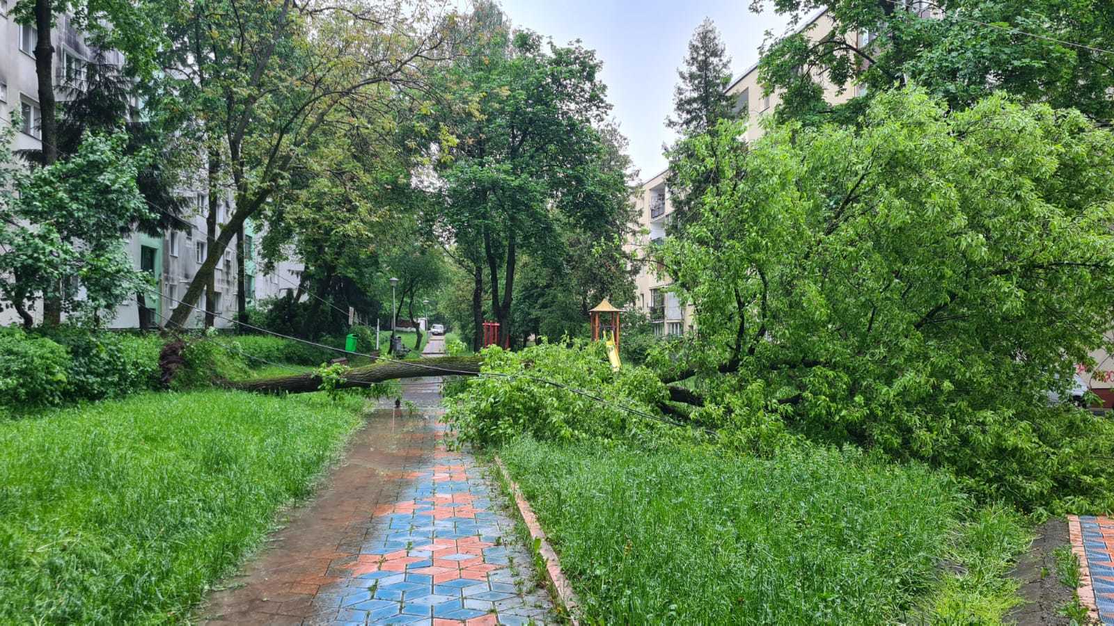 IGSU: Efecte ale ploilor şi furtunilor, în 21 de localităţi din nouă judeţe/ Au fost inundate locuinţe, terenuri de fotbal şi un depou CFR/ 19 copaci au căzut, şase autoturisme fiind avariate – FOTO, VIDEO