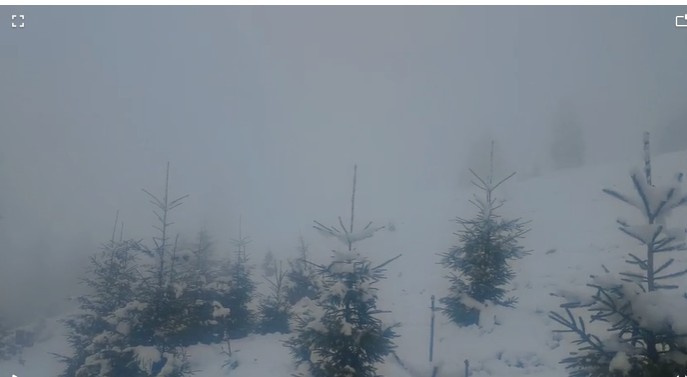 Acţiune în condiţii extreme a Salvamont Maramureş pentru recuperarea a trei cetăţeni ucraineni – FOTO, VIDEO
