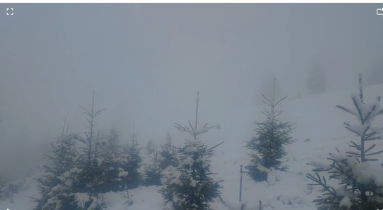 UPDATE Acţiune în condiţii extreme a Salvamont Maramureş pentru recuperarea a trei cetăţeni ucraineni/ Cei trei au fost recuperaţi - FOTO, VIDEO