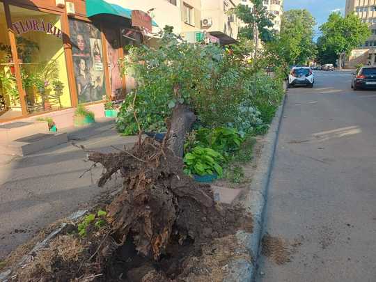 FOTO: ISU Braila
