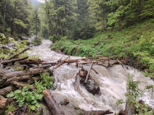 FOTO - Salvamont Salvaspeo Braşov