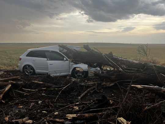 FOTO: ISU Teleorman