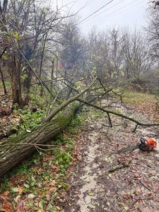 Argeş: Copaci căzuţi şi zone inundate, în urma ploilor torenţiale din ultimele ore - FOTO