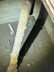 Tulcea: Jandarmii au intervenit pentru îndepărtarea unor şerpi dintr-un beci - FOTO