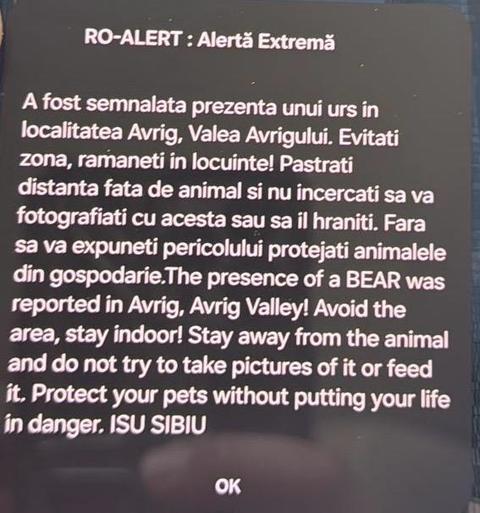 Urs semnalat într-o zonă turistică din judeţul Sibiu / Mesaj RO-Alert