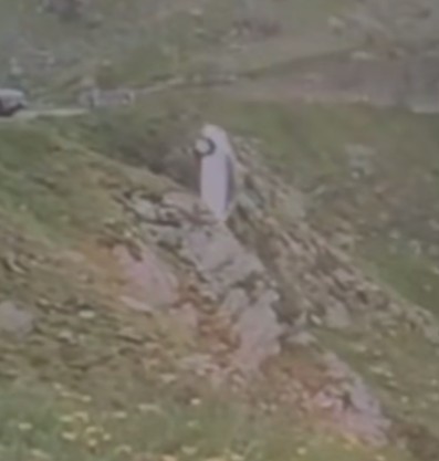 O maşină parcată pe Transfăgărăşan, dar care nu a fost asigurată, a căzut în gol / Momentul, surprins în imagini - VIDEO