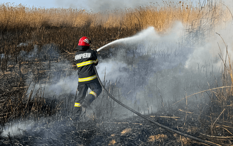 Incendii de vegetaţie pe o suprafaţă de aproximativ 30 de hectare în Caraş-Severin / A fost solicitat un elicopter de la Inspectoratul General al Aviaţiei