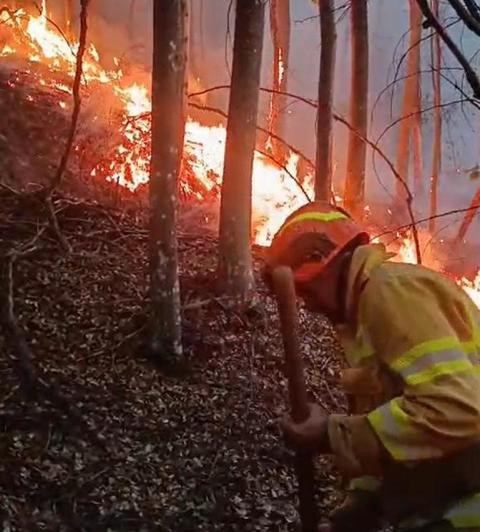 Incendiu puternic de pădure în zona Tărcăiţa, din judeţul Bihor/ Pompierii se luptă de trei zile cu flăcările şi încearcă să limiteze dezastrul/ Operaţiunea, îngreunată de vânt, de terenul abrupt şi de uscăciunea vegetaţiei - VIDEO