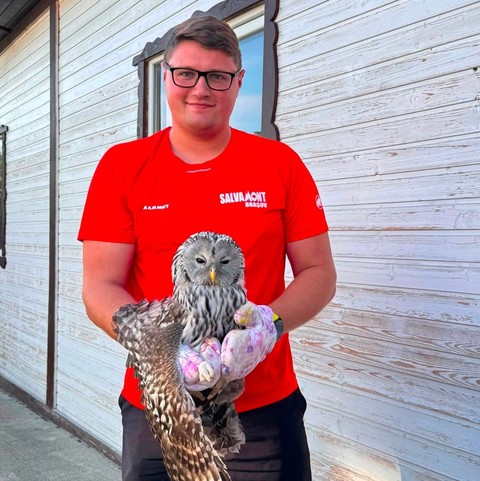 Pui de huhurez mare dintr-o specie rară, descoperit în mijlocul unui drum de salvamontiştii din Braşov / Avea o aripă ruptă, existând suspiciunea că a fost atacat de un alt animal – FOTO