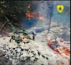 UPDATE - Tulcea: 2000 de metri pătraţi de pădure în zona Plauru, afectaţi de un incendiu / Romsilva susţine, invocând mărturiile localnicilor, că ar fi pornit de la explozia unei drone / ISU Tulcea va stabili cauza incendiului / Anunţul MApN- FOTO, VIDEO
