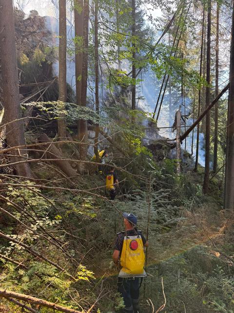 Cluj: Un incendiu de pădure izbucnit miercuri, în urma unui fulger, a fost lichidat, sâmbătă -VIDEO