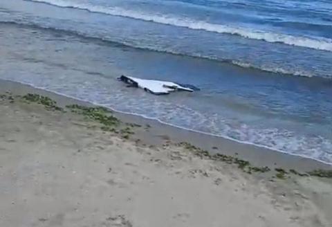 Un fragment de dronă a fost găsit pe o plajă din Constanţa/ Nu are explozibil - FOTO