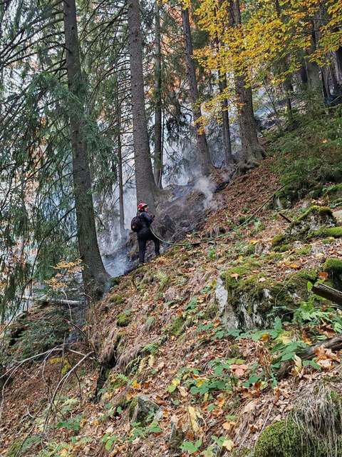 Incendiul de vegetaţie din Parcul Naţional Retezat se manifestă de peste două săptămâni / Suprafaţa este estimată, în prezent, la aproximativ 5 hectare. Incendiul este localizat