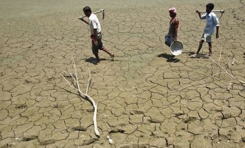 Temperaturi record de 51 de grade Celsius înregistrate în nord-vestul Indiei