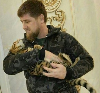 Liderul cecen le cere urmăritorilor de pe Instagram să-l ajute să-şi găsească pisica pierdută