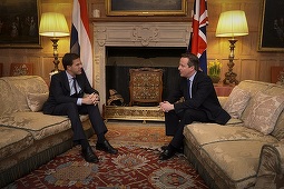 Este inutil ca David Cameron să fie criticat pentru că a permis referendumul britanic, afirmă Rutte