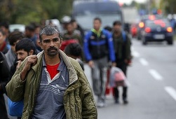 Bătăi între migranţi şi poliţie, la graniţa dintre Serbia şi Croaţia