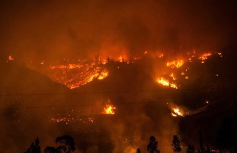 Bilanţul a crescut la 11 morţi în urma celor mai grave incendii forestiere din Chile 