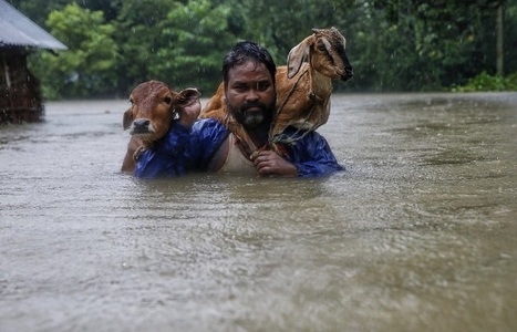 Bilanţul a urcat la 47 de morţi în urma inundaţiilor şi alunecărilor de teren din Nepal