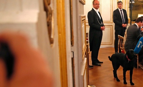 Labradorul Nemo, adoptat de Emmanuel şi Brigitte Macron, îşi face apariţia la Elysée